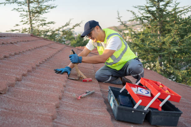 Best Residential Roofing Contractor  in Chinook, MT