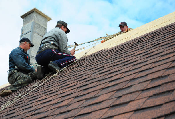 Best Local Roofing Companies  in Chinook, MT