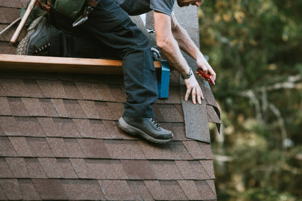 Best Emergency Roof Repair  in Chinook, MT