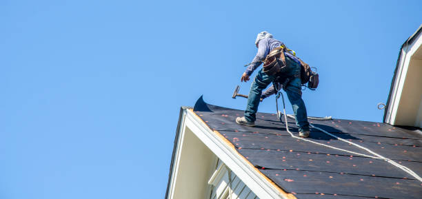 Best Roof Restoration Services  in Chinook, MT